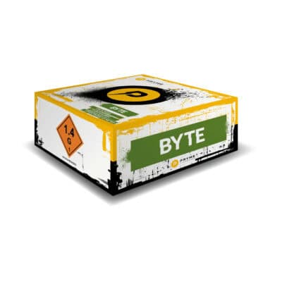 Byte